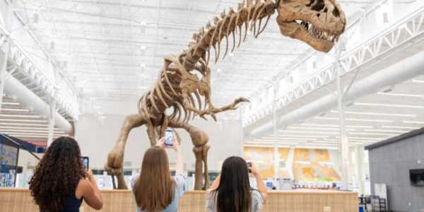 How to Combine Museum Tickets with Guided City Tours for a Smooth Trip